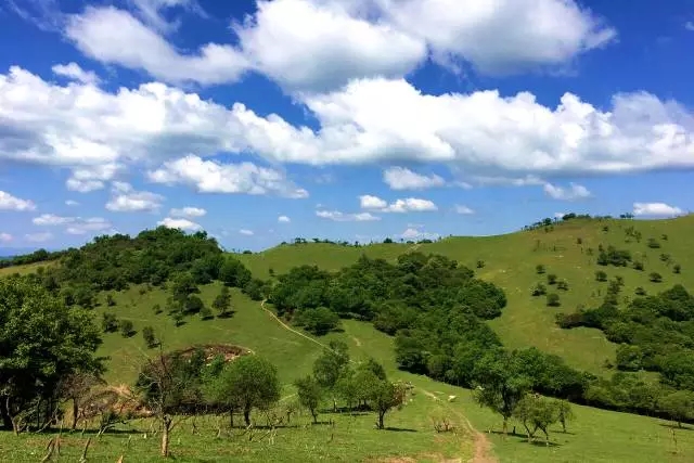 腾博汇游戏官网 - 诚信为本,专业服务!