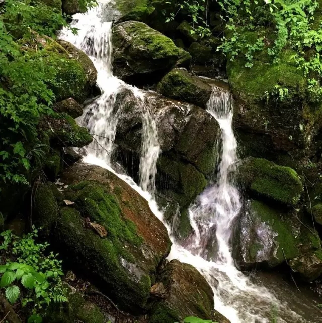 腾博汇游戏官网 - 诚信为本,专业服务!