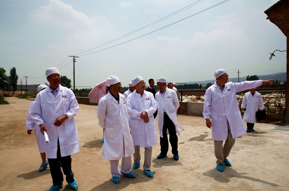 腾博汇游戏官网 - 诚信为本,专业服务!