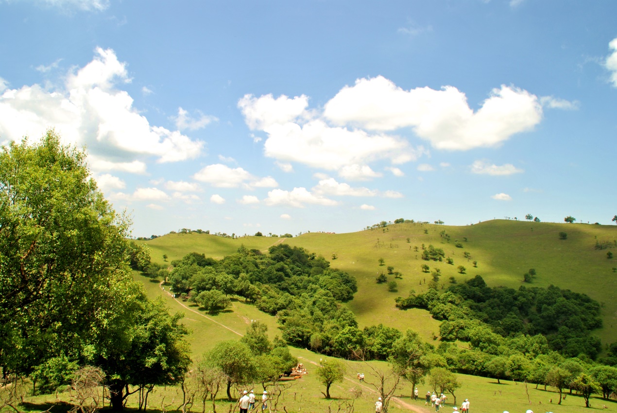 腾博汇游戏官网 - 诚信为本,专业服务!