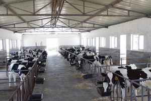 �ڲ�����Ϸ���� - ����Ϊ��,רҵ����!