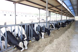 �ڲ�����Ϸ���� - ����Ϊ��,רҵ����!