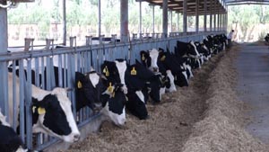 �ڲ�����Ϸ���� - ����Ϊ��,רҵ����!