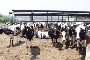 �ڲ�����Ϸ���� - ����Ϊ��,רҵ����!